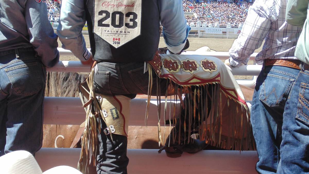 Saddlebronc Cowboy in Stampede Infield, ready to ride