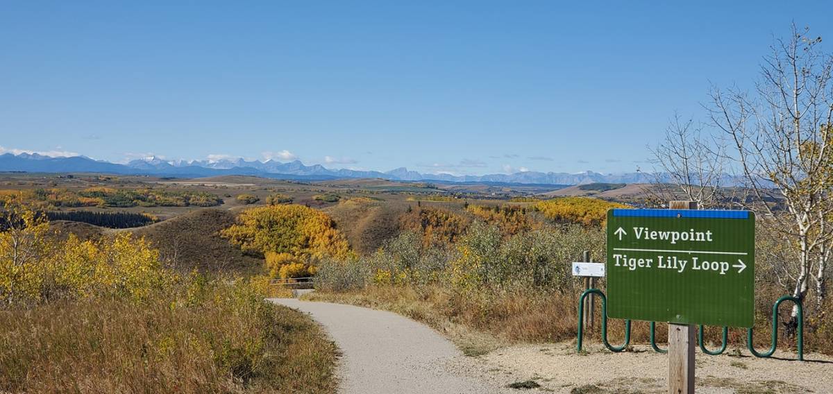 Fall view to Rocky Mountains from Glenbow Ranch, near Cochrane, AB