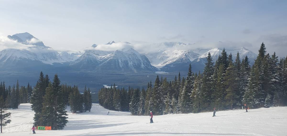 View of Lake Louise and Chateau from Ski Hill