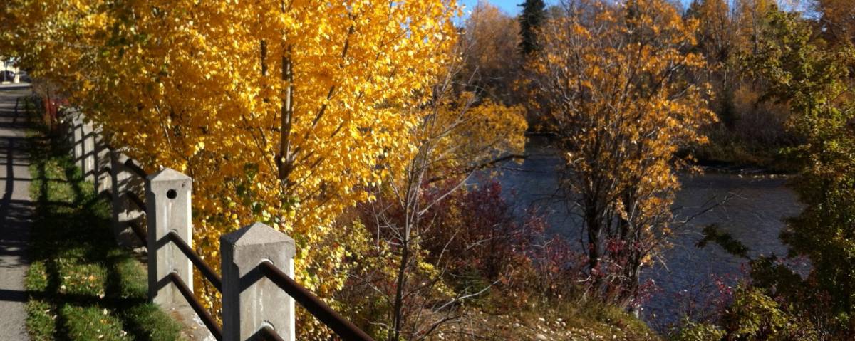 Fall colours along Elbow River, Calgary