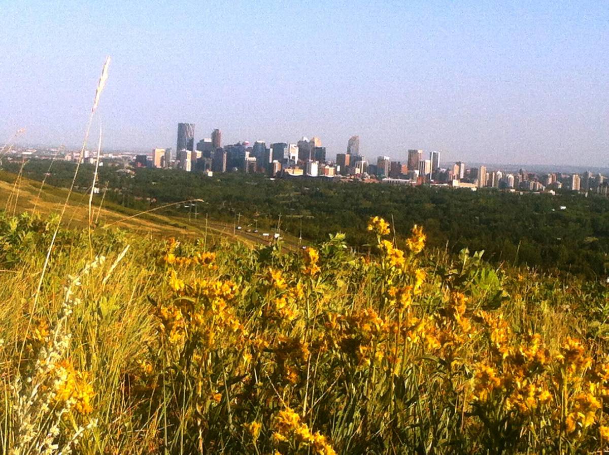 Calgary downtown from Nose Hill Park in Fall colours