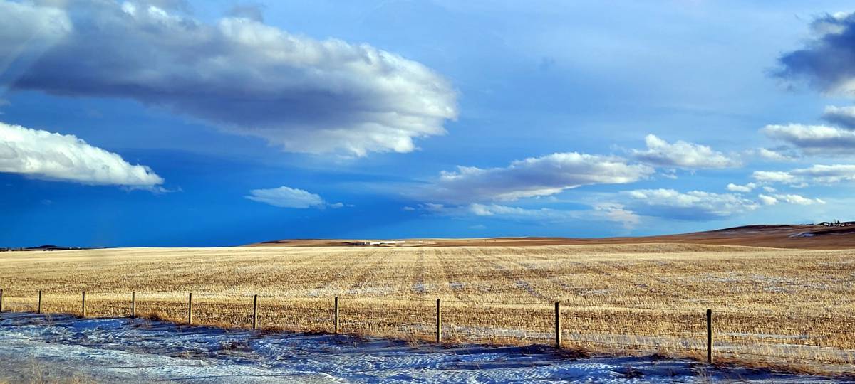 Fields after harvest and first snow