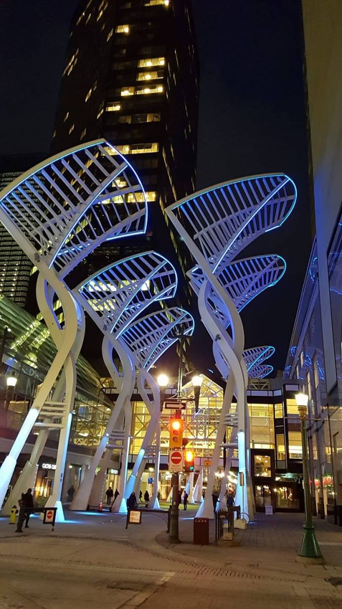 Palm fronds lit at night on Stephen Avenue Walk