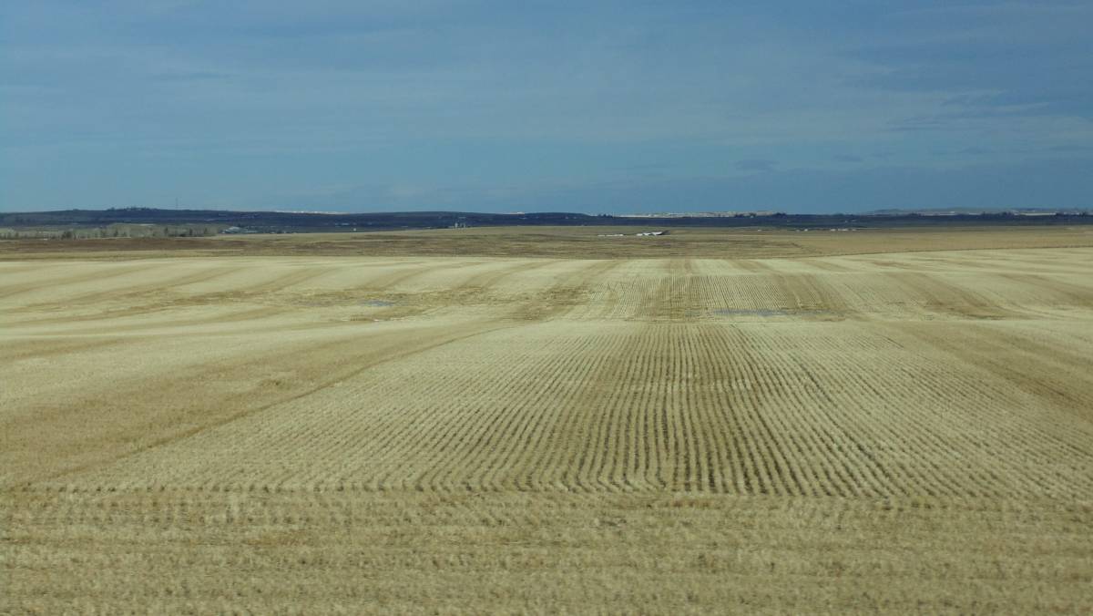 Fields after harvest, Cowboy Trail