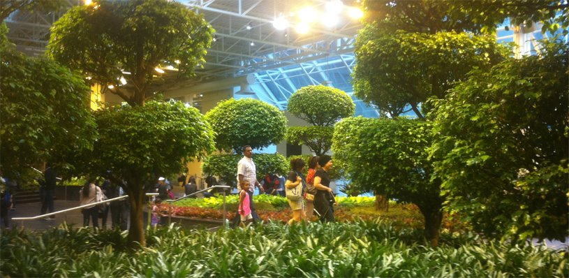 View of indoor foliage at Devonian Gardens atop The Core